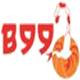 貝爾納雷焦99logo