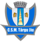 CSM特爾古捷烏B隊(duì)logo