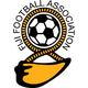 斐濟(jì)U19logo