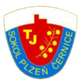 TJS塞爾尼斯logo