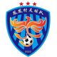 鳳凰村足球隊(duì)logo